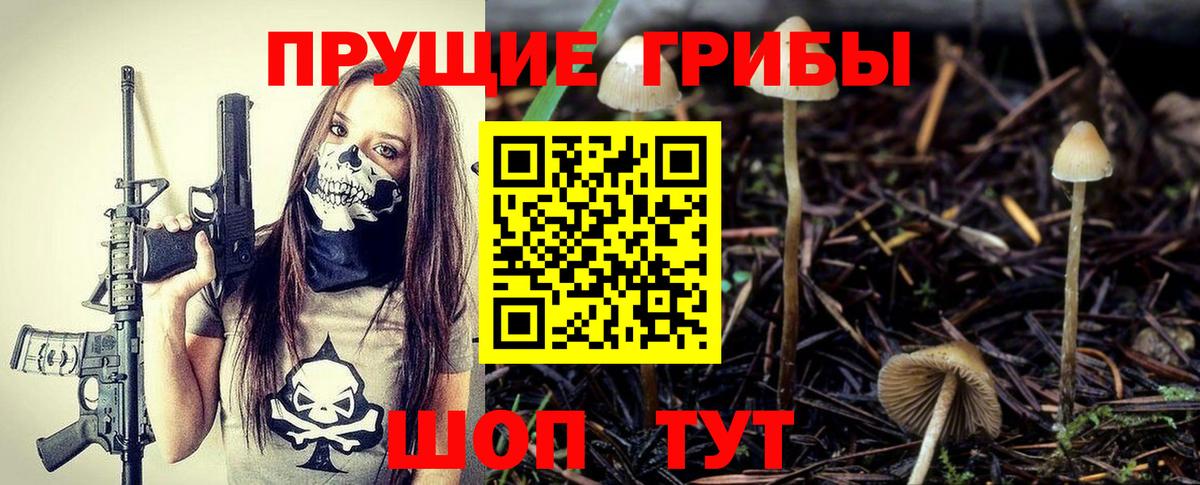 Галлюциногенные грибы ЛСД  Псилоцибиновые грибы Psilocybine cubensis  Вход с VPN  Волгоград 