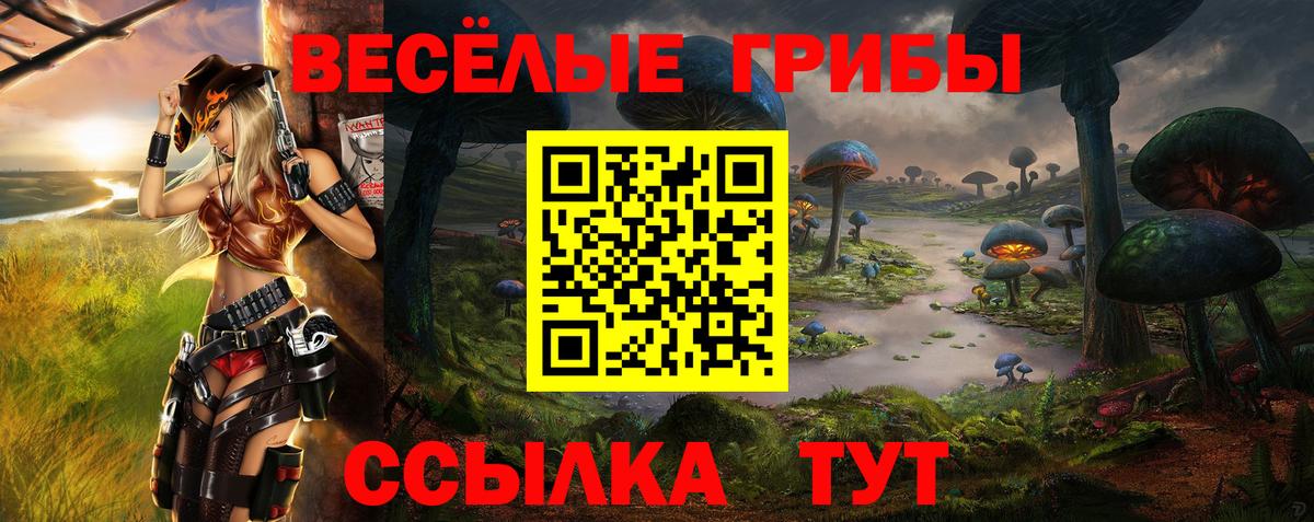 Псилоцибиновые грибы MAGIC MUSHROOMS Волгоград