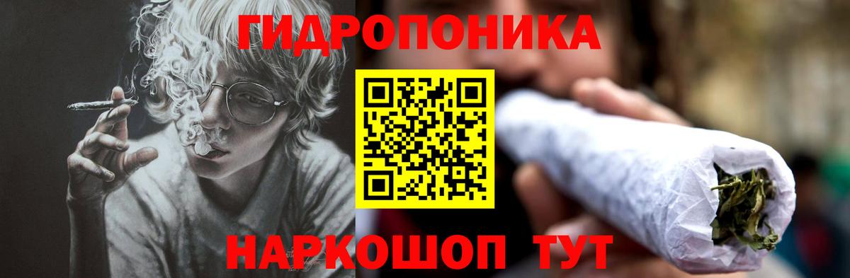 Марихуана планчик  Волгоград  Каннабис OG Kush  Конопля планчик  Бошки Шишки MAZAR 