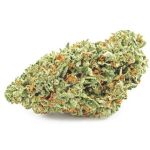 Шишки OG Kush  (Гидропоника, бошки) VHQ в Волгограде